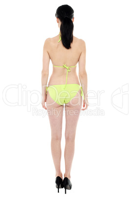 Bright picture of beautiful woman in bikini. Back pose