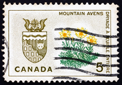 Postage stamp Canada 1966 Mountain Avens, Arms of Northwest Terr