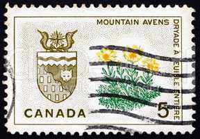 Postage stamp Canada 1966 Mountain Avens, Arms of Northwest Terr