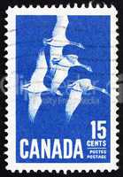 Postage stamp Canada 1963 Canada Geese, Bird