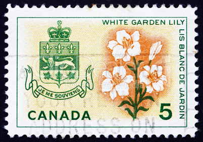 Postage stamp Canada 1964 White Garden Lily, Arms of Quebec