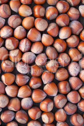 hazelnuts