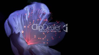 Fiber Optic,