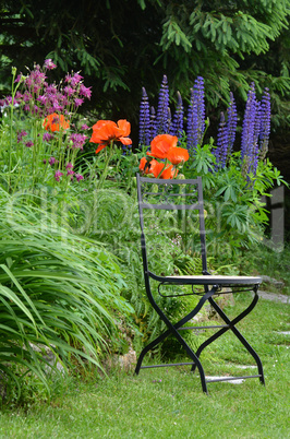 Garten Stuhl Blumen Beet bunt