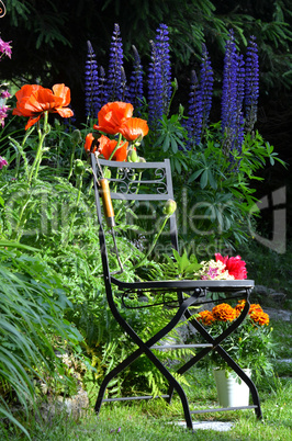 Garten Stuhl Blumen Beet bunt