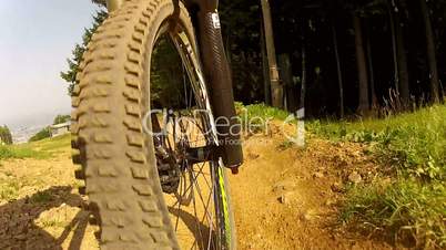 Downhill Mountain Bike Wheel View 2