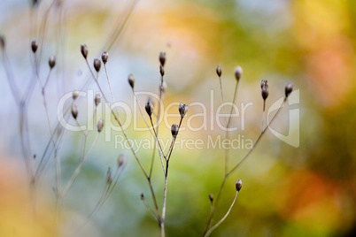 Herbstfarben