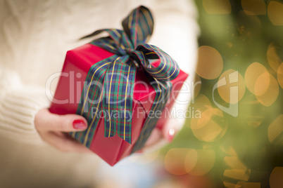 Woman Wearing Seasonal Red Mittens Holding Christmas Gift