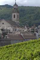 France, vineyard of Riquewihr in Alsace