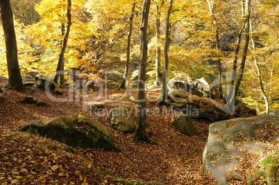 France, Les Vaux de Cernay in Chevreuse valley