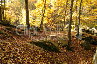 France, Les Vaux de Cernay in Chevreuse valley