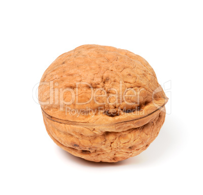 Walnut on white background. Close-up view.