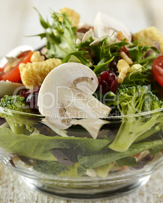 Fresh Salad Bowl