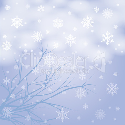 vector snow branches with snowflakes