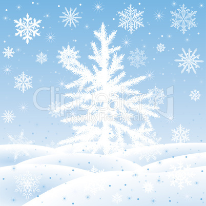 Christmas tree fir  on  a snow glade