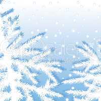 Christmas tree branch fir on a snow sky