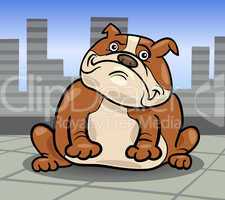 english bulldog dog cartoon illustration