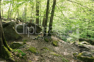 France, Les Vaux de Cernay in Chevreuse valley