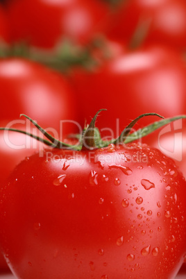 Frische Tomate mit Wassertropfen