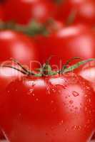 Frische Tomate mit Wassertropfen