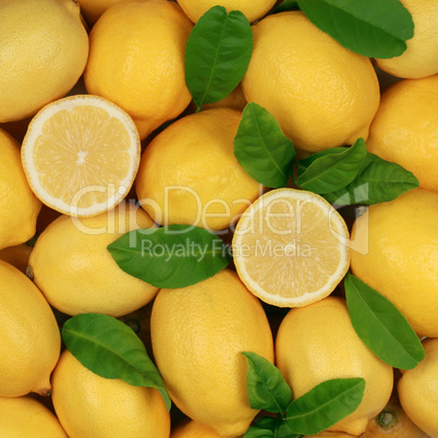 Zitronen bilden einen Hintergrund