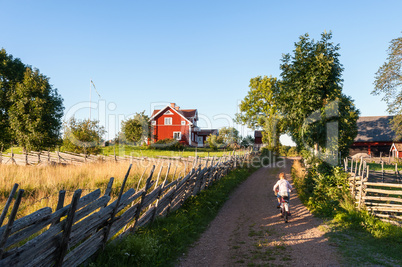 Sommer in Schweden