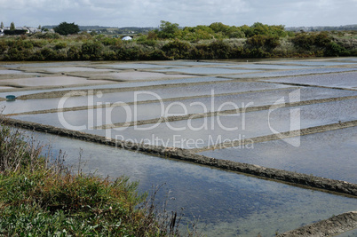 France, the salt evaporation pond in Guerande