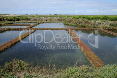 France, the salt evaporation pond in Guerande