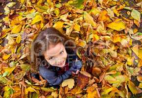 Little Girl Playing With Autumn Leaves