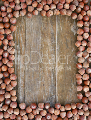 acorns