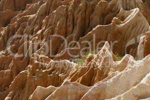 Sandstone cliff