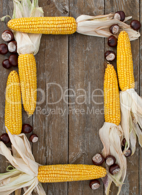 corn