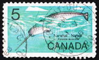 Postage stamp Canada 1967 Male Narwhal, Monodon Monoceros, Whale