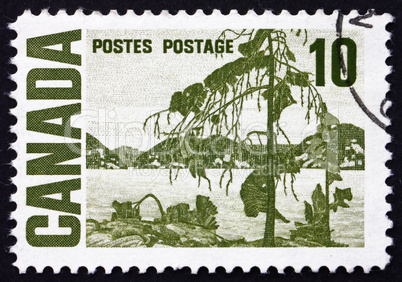 Postage stamp Canada 1967 The Jack Pine, by Tom Thomson