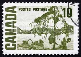 Postage stamp Canada 1967 The Jack Pine, by Tom Thomson