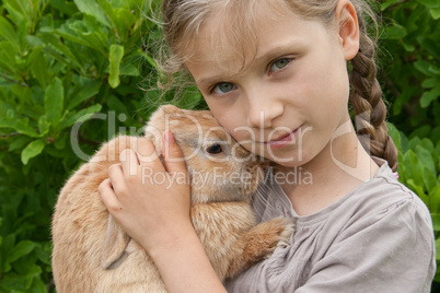 rabbit rabbit
