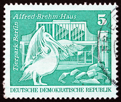 Postage stamp GDR 1973 Pelican, Berlin Zoo