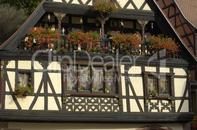 France, the small village of Kaysersberg in Alsace