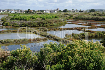 France, the salt evaporation pond in Guerande