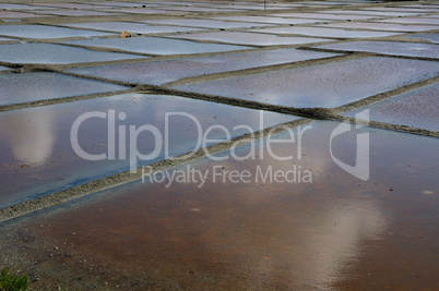 France, the salt evaporation pond in Guerande