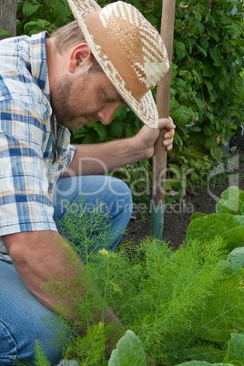 gardener