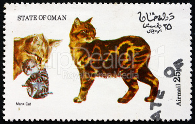 Postage stamp Oman 1973 Manx Cat