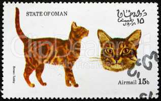 Postage stamp Oman 1973 Brown Tabby, Cat