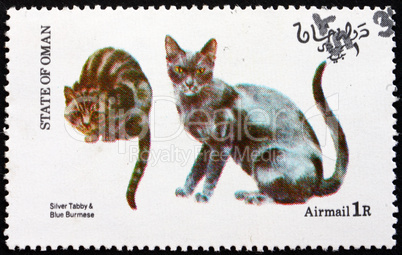 Postage stamp Oman 1973 Cats