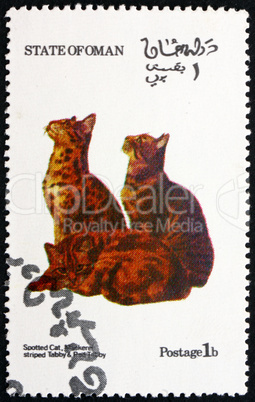 Postage stamp Oman 1973 Cats