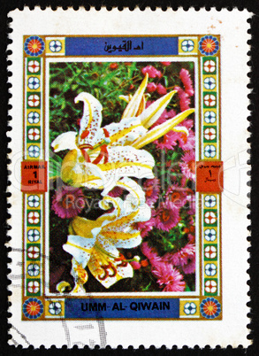 Postage stamp Umm al-Quwain 1972 Flower, Nature