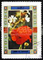 Postage stamp Umm al-Quwain 1972 Flower, Nature