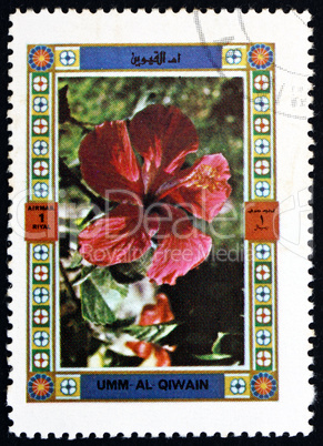 Postage stamp Umm al-Quwain 1972 Flower, Nature