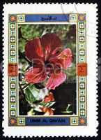 Postage stamp Umm al-Quwain 1972 Flower, Nature