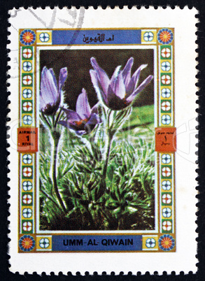 Postage stamp Umm al-Quwain 1972 Flower, Nature